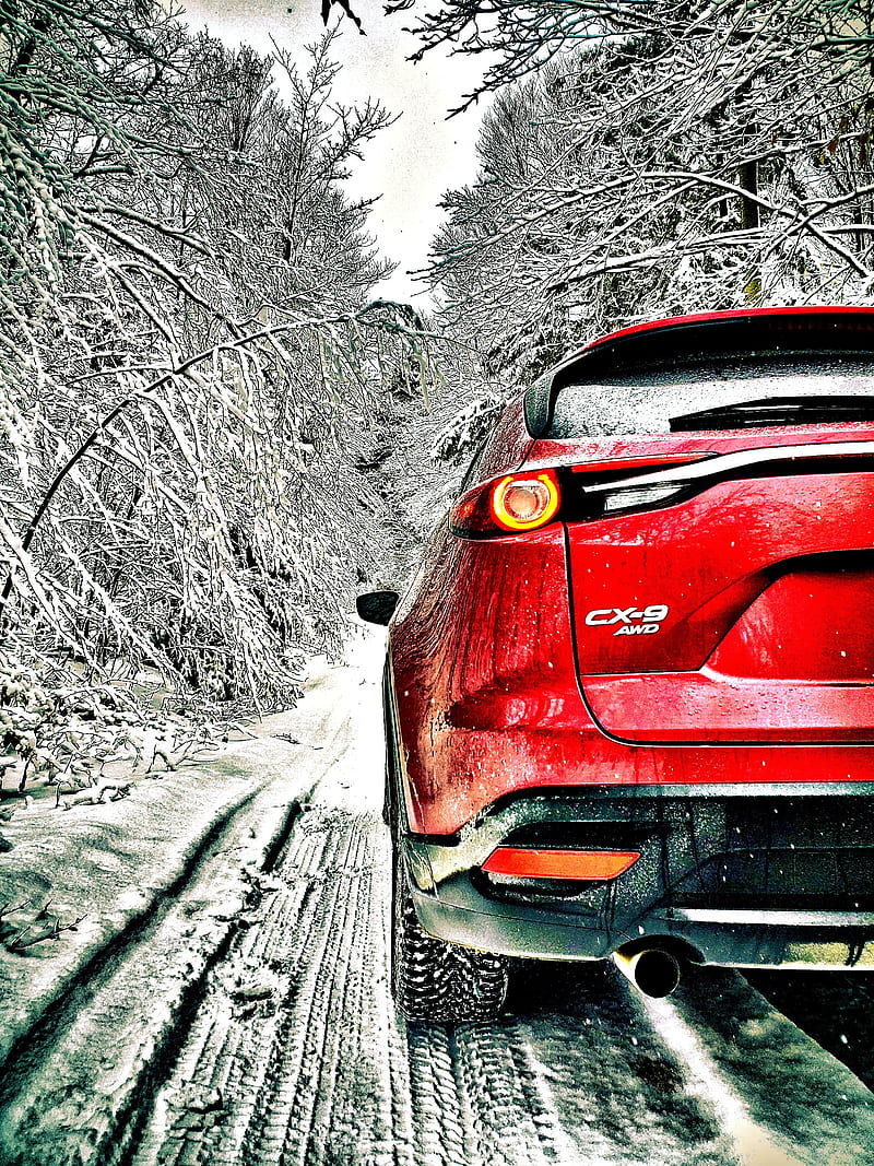 Protective Measures: How to Guard Your Car Against Weather Damage